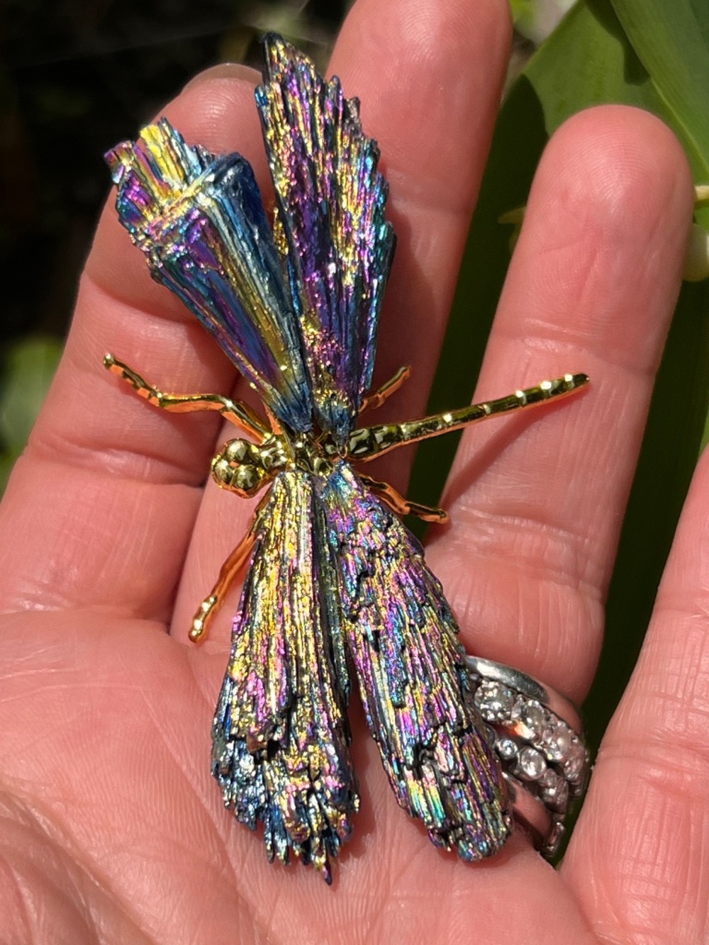 Aura (2) kyanite dragonfly | crystal